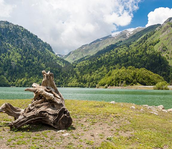 Camping Pont Lauguere Pyrénées Altantiques Laruns